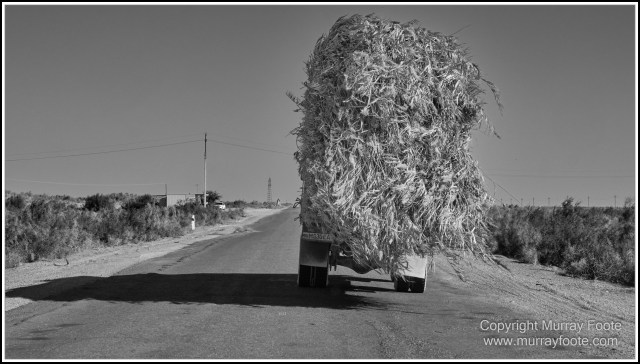 Architecture, Black and White, Bukhara, History, Landscape, Monochrome, Photography, Street photography, Travel, Uzbekistan
