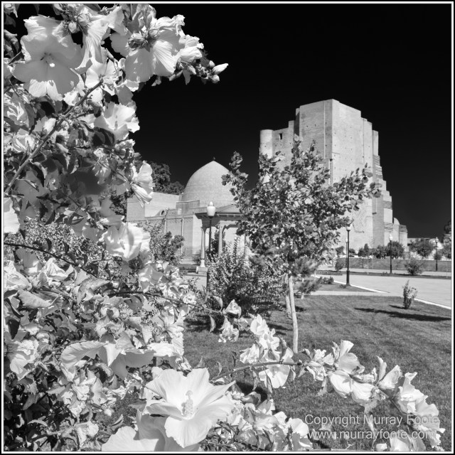Architecture, Black and White, History, Landscape, Monochrome, Photography, Shakhrisabz, Street photography, Travel, Uzbekistan, Wildlife