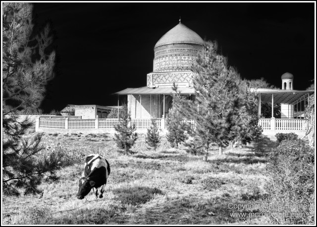 Architecture, Black and White, History, Landscape, Monochrome, Photography, Samarkand, Street photography, Travel, Uzbekistan
