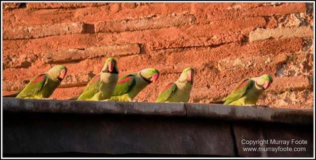 Archaeology, Architecture, Art, Constantinople, Hagia Irene, History, Istanbul, Landscape, Photography, Street photography, Topkapi Palace, Travel