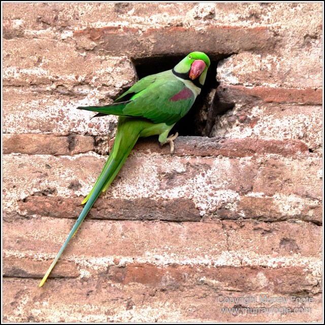 Archaeology, Architecture, Art, Constantinople, Hagia Irene, History, Istanbul, Landscape, Photography, Street photography, Topkapi Palace, Travel