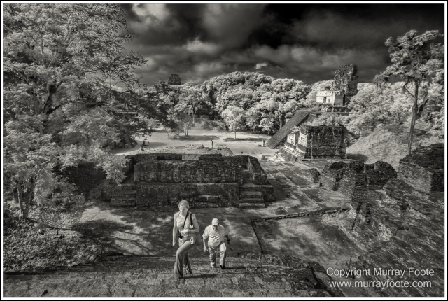 Archaeology, Architecture, Black and White, Capture One, Infrared, Landscape, Lightroom, Monochrome, Nature, Photography, Photoshop, Post-Processing, Sculpture, Travel, Wildlife
