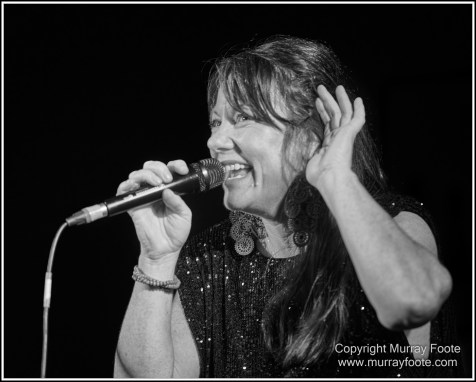 Australia, Blues, Blues Festivals, Live Music, Photography, Thredbo, Thredbo Blues Festival, Travel