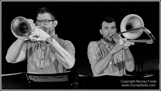 Australia, Blues, Blues Festivals, Live Music, Photography, Thredbo, Thredbo Blues Festival, Travel