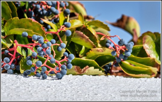 Architecture, Emporio, Greece, History, Landscape, Macro, Photography, Santorini, Street photography, Thira, Travel