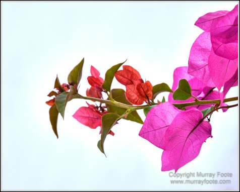 Architecture, Emporio, Greece, History, Landscape, Macro, Photography, Santorini, Street photography, Thira, Travel