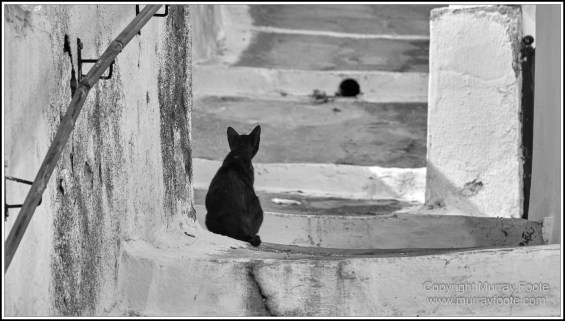 Akrotiri, Archaeology, Architecture, Belltowers, Black and White, Greece, Landscape, Monochrome, Photography, Pyrgos, Santorini, Street photography, Thira, Travel