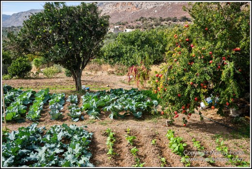 Agia Fotini, Archaeology, Crete, Greece, History, Landscape, Lasithi Plateau, Palaikastro, Photography, Street photography, Travel, Zakros