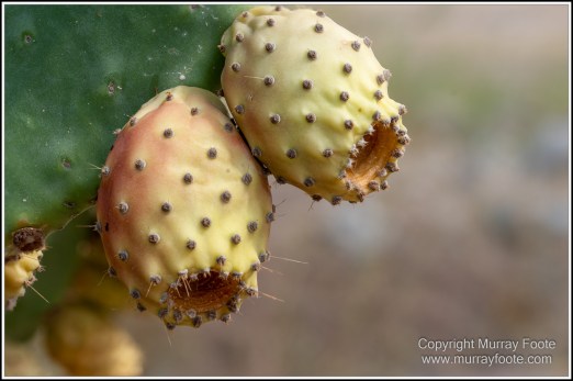 Archaeology, Architecture, Crete, Greece, History, Landscape, Minoan Civilisation, Photography, Street photography, Travel, Zakros