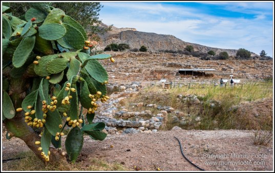 Archaeology, Architecture, Crete, Greece, History, Landscape, Minoan Civilisation, Photography, Street photography, Travel, Zakros