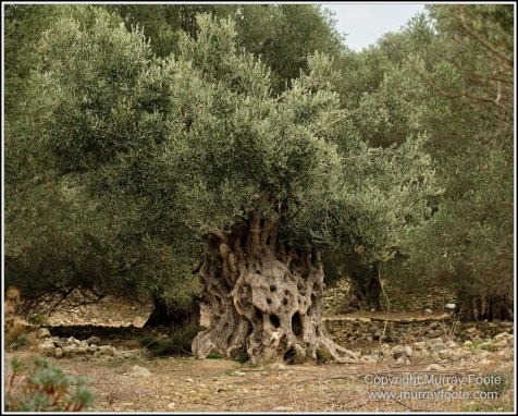 Acropolis of Gortyn, Archaeology, Architecture, Crete, Gortyn, Gortys, Greece, History, Landscape, Photography, Street photography, Travel