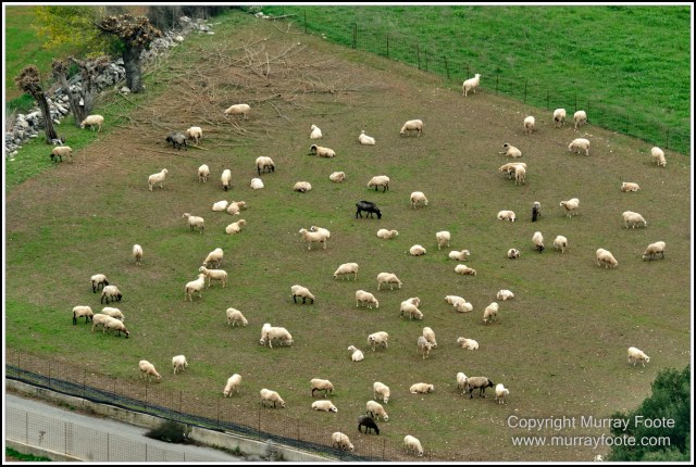 Architecture, Crete, Frangokastello, Greece, History, Landscape, Photography, Street photography, Travel, Vryses