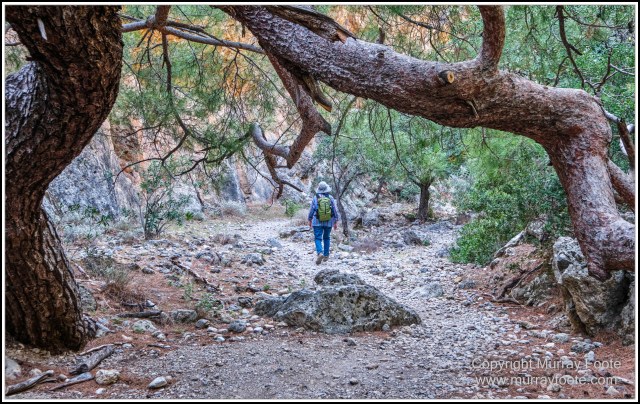 Crete, Greece, History, Landscape, Lissos, Nature, Photography, Sougia, Street photography, Travel