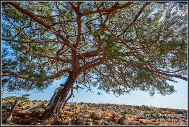 Crete, Greece, History, Landscape, Lissos, Nature, Photography, Sougia, Street photography, Travel