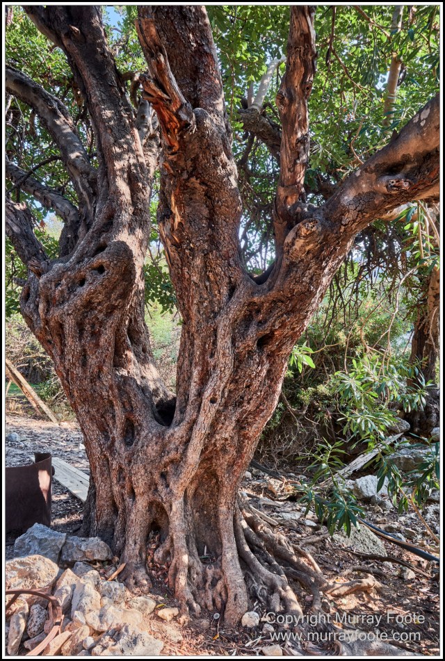 Archaeology, Crete, Greece, History, Landscape, Lissos, Nature, Photography, Travel
