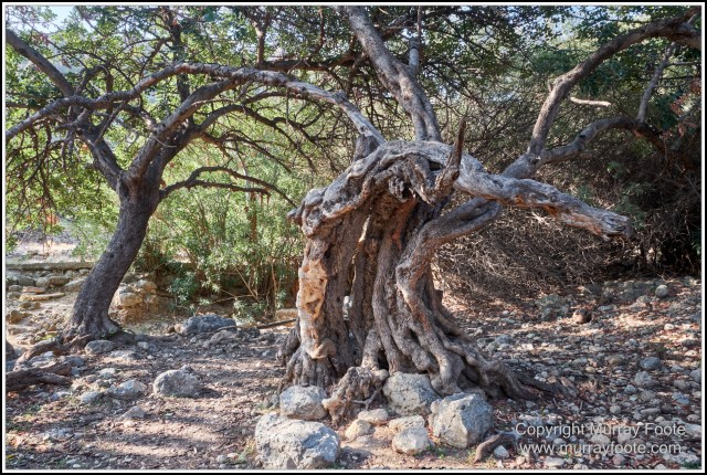 Archaeology, Crete, Greece, History, Landscape, Lissos, Nature, Photography, Travel