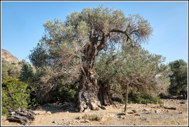 Archaeology, Crete, Greece, History, Landscape, Lissos, Nature, Photography, Travel