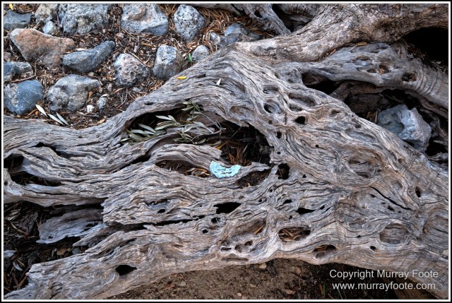 Archaeology, Crete, Greece, History, Landscape, Lissos, Nature, Photography, Travel