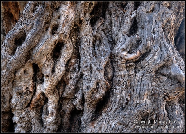 Archaeology, Crete, Greece, History, Landscape, Lissos, Nature, Photography, Travel