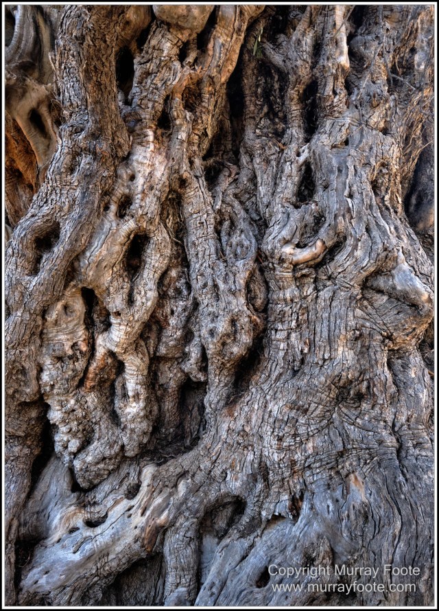Archaeology, Crete, Greece, History, Landscape, Lissos, Nature, Photography, Travel