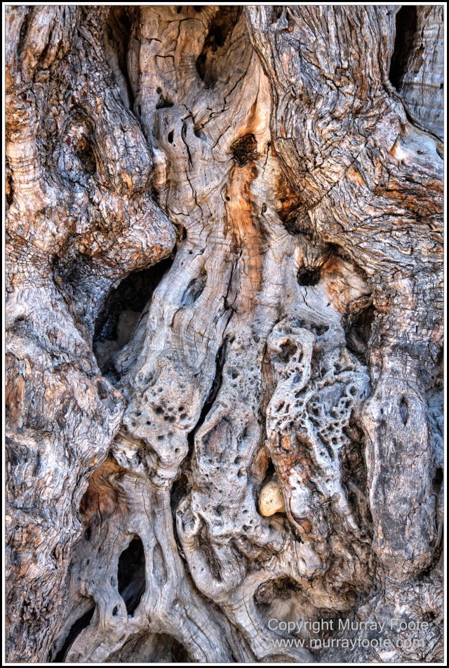 Archaeology, Crete, Greece, History, Landscape, Lissos, Nature, Photography, Travel