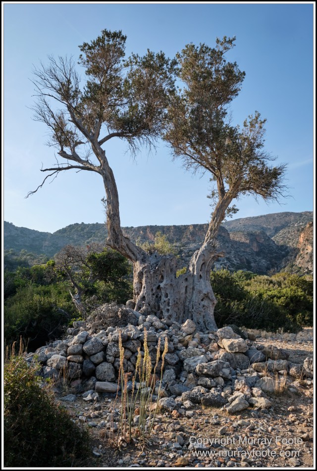 Archaeology, Crete, Greece, History, Landscape, Lissos, Nature, Photography, Travel