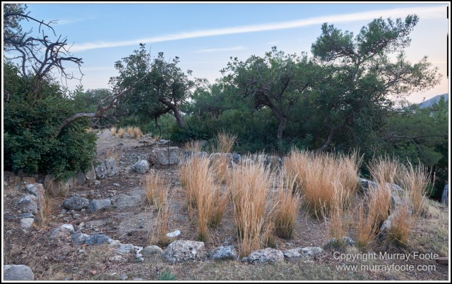 Archaeology, Crete, Greece, History, Landscape, Nature, Photography, seascape, Sougia, Syia, Travel