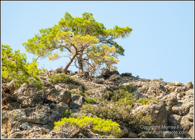 Crete, Greece, History, Landscape, Lissos, Nature, Photography, Sougia, Street photography, Travel