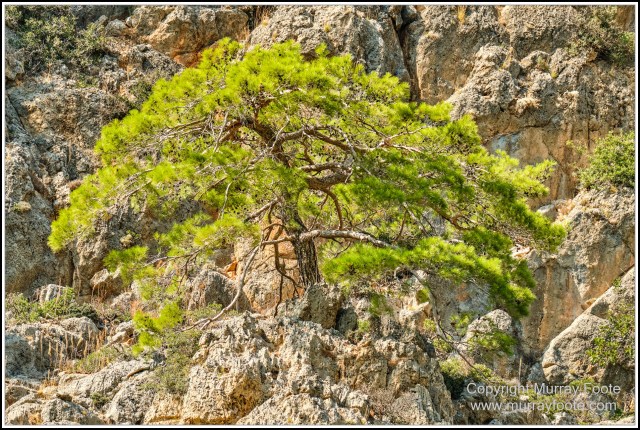 Crete, Greece, History, Landscape, Lissos, Nature, Photography, Sougia, Street photography, Travel