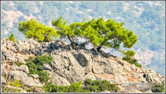 Crete, Greece, History, Landscape, Lissos, Nature, Photography, Sougia, Street photography, Travel