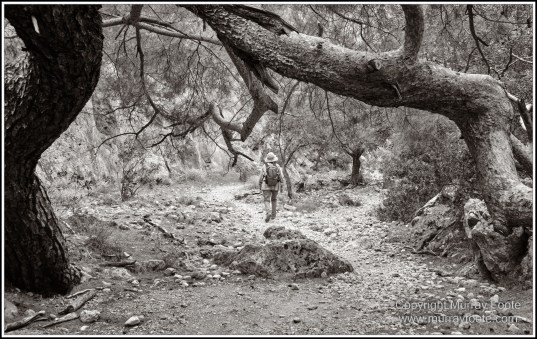 Archaeology, Architecture, Black and White, Crete, Gortyn, Greece, Heraklion, Knossos, Landscape, Matala, Monochrome, Photography, Street photography, Travel, Zakros