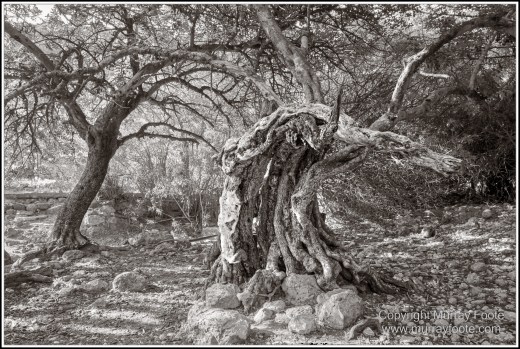 Archaeology, Architecture, Black and White, Crete, Gortyn, Greece, Heraklion, Knossos, Landscape, Matala, Monochrome, Photography, Street photography, Travel, Zakros