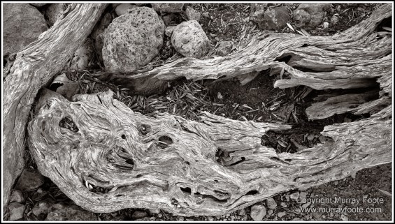 Archaeology, Architecture, Black and White, Crete, Gortyn, Greece, Heraklion, Knossos, Landscape, Matala, Monochrome, Photography, Street photography, Travel, Zakros