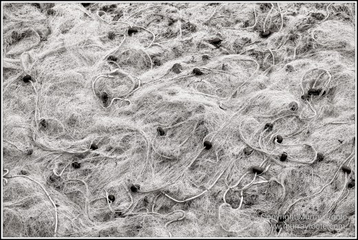 Archaeology, Architecture, Black and White, Crete, Gortyn, Greece, Heraklion, Knossos, Landscape, Matala, Monochrome, Photography, Street photography, Travel, Zakros