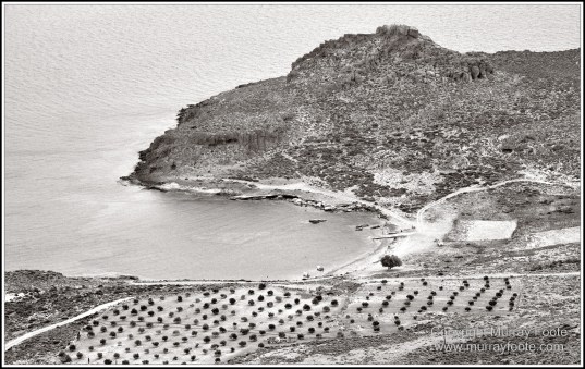 Archaeology, Architecture, Black and White, Crete, Gortyn, Greece, Heraklion, Knossos, Landscape, Matala, Monochrome, Photography, Street photography, Travel, Zakros