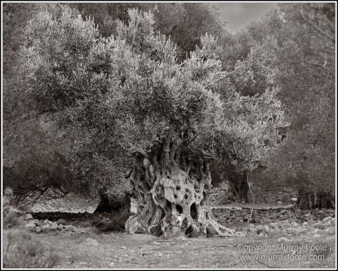 Archaeology, Architecture, Black and White, Crete, Gortyn, Greece, Heraklion, Knossos, Landscape, Matala, Monochrome, Photography, Street photography, Travel, Zakros