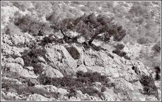 Archaeology, Architecture, Black and White, Crete, Gortyn, Greece, Heraklion, Knossos, Landscape, Matala, Monochrome, Photography, Street photography, Travel, Zakros