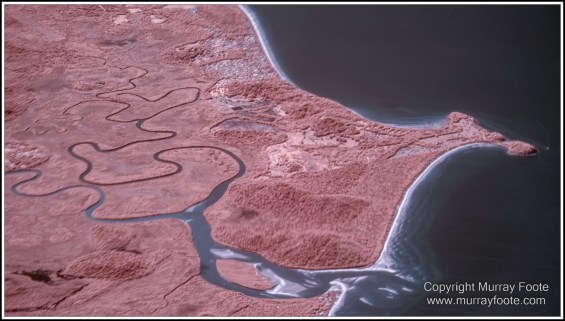 Aerial Photography, Atherton Tablelands, Cairns, Canberra, Cathedral Fig Tree, Infrared, Landscape, Photography, seascape, Travel