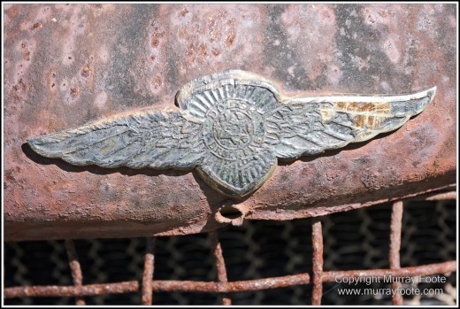 Atherton Tablelands, Big Millstream Falls, Curtain Fig Tree, Hastie's Swamp, Herberton, Landscape, Macro, Nature, Photography, Travel, Tully Gorge, Wilderness, Wildlife