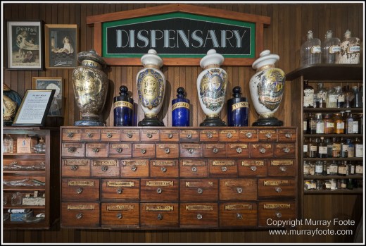 Atherton Tablelands, Big Millstream Falls, Curtain Fig Tree, Hastie's Swamp, Herberton, Landscape, Macro, Nature, Photography, Travel, Tully Gorge, Wilderness, Wildlife