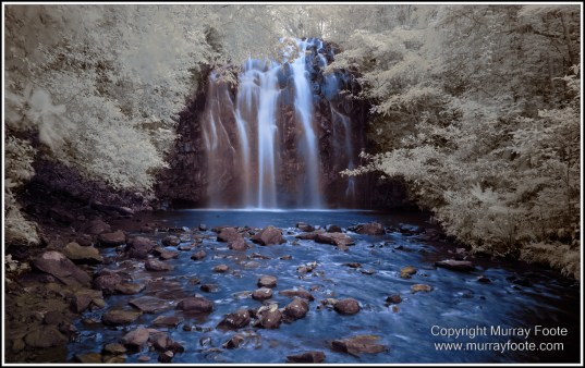 Atherton Tablelands, Big Millstream Falls, Canberra, Dinner Falls, Ellinjaa Falls, Herberton, Infrared, Landscape, Macro, Millaa Millaa Falls, Photography, Travel, Zillie Falls