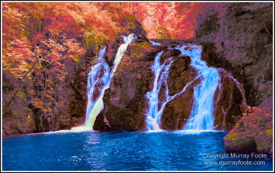 Atherton Tablelands, Big Millstream Falls, Canberra, Dinner Falls, Ellinjaa Falls, Herberton, Infrared, Landscape, Macro, Millaa Millaa Falls, Photography, Travel, Zillie Falls