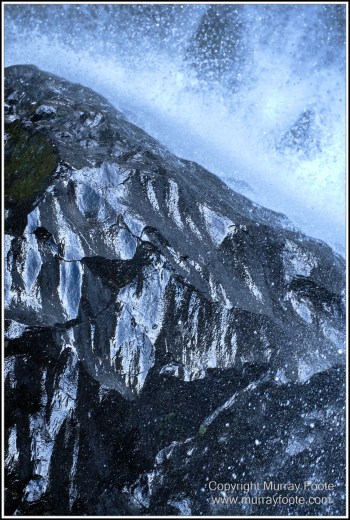 Atherton Tablelands, Grey-headed Robin, Hastie's Swamp, Krefft's turtle, Landscape, Macro, Malanda Falls, Millaa Millaa Falls, Nature, Photography, Red-legged pademelon, Sugar glider, Travel, Wilderness, Wildlife, Zillie Falls