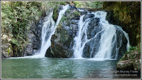 Atherton Tablelands, Dinner Falls, Hastie's Swamp, Landscape, Mount Hypipamee National Park, Nature, Photography, Striped Possum, Sugar glider, Travel, Wilderness, Wildlife, Zillie Falls
