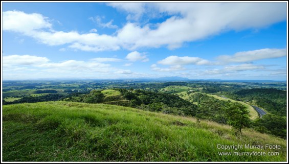 Atherton Tablelands, Dinner Falls, Hastie's Swamp, Landscape, Mount Hypipamee National Park, Nature, Photography, Striped Possum, Sugar glider, Travel, Wilderness, Wildlife, Zillie Falls