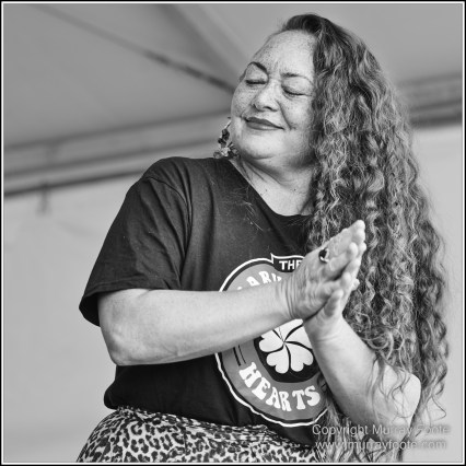 Australia, Blues, Blues Festivals, Goulburn, Goulburn Blues Festival, Live Music, Photography, Travel