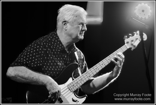 Australia, Blues, Blues Festivals, Goulburn, Goulburn Blues Festival, Live Music, Photography, Travel