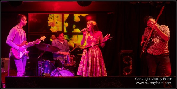 Australia, Blues, Blues Festivals, Goulburn, Goulburn Blues Festival, Live Music, Photography, Travel