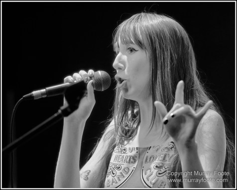 Australia, Blues, Blues Festivals, Goulburn, Goulburn Blues Festival, Live Music, Photography, Travel