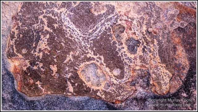 Landscape, Laura, Macro, Nature, Photography, Queensland, Rock Art, Travel, Wilderness, Wildlife